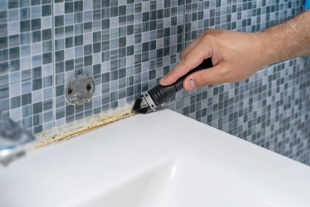Best Same-Day Mold Removal  in Montclair State University, NJ