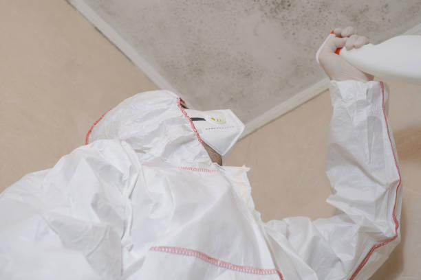 Best Home Mold Removal  in Montclair State University, NJ