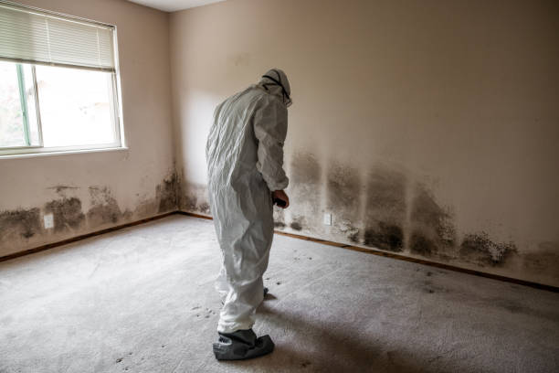 Best Crawl Space Mold Removal  in Montclair State University, NJ