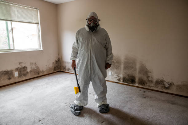 Best Same-Day Mold Removal  in Montclair State University, NJ