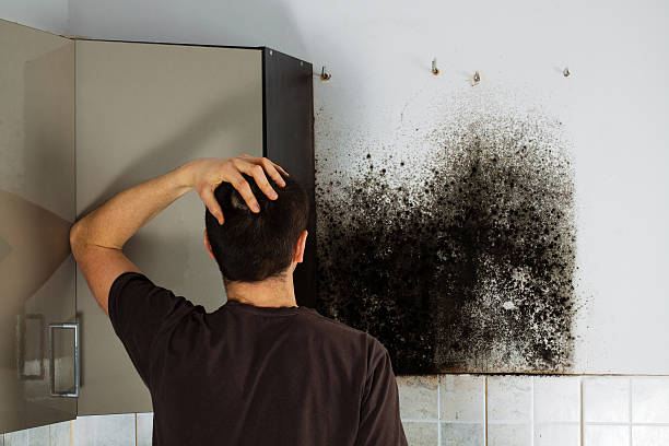Best Mold Cleaning Services  in Montclair State University, NJ